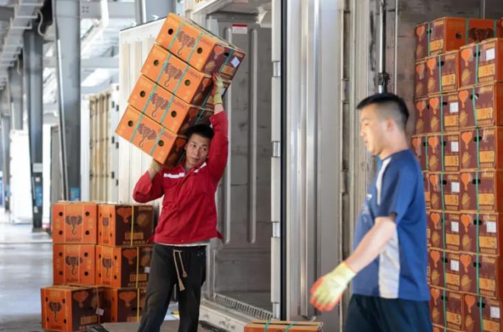 NG电子游戏·(中国区)官方网站